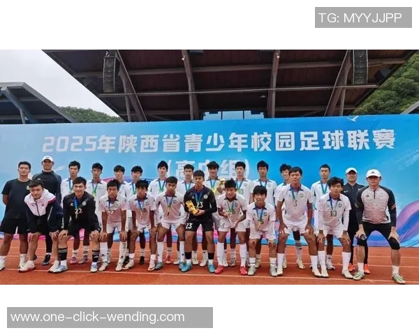 陕西足球队的崛起与发展探索及其在全国联赛中的表现分析